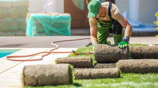 Cities where lawn care services cost the most green in 2025