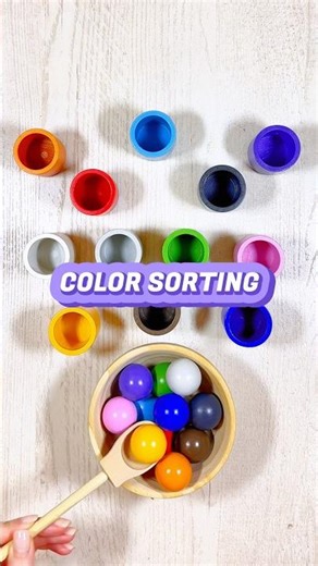 Color Sorting for Toddlers | Educational Activities for Toddlers | Montessori Toys