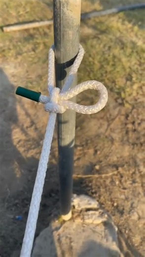 Amazing Knot 🪢#knot #shorts