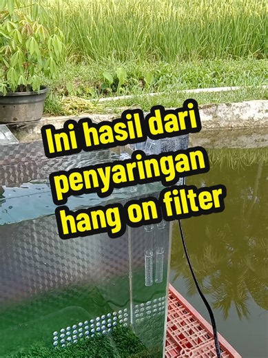 Filter Gantung Aquarium: Air Jernih Seketika
