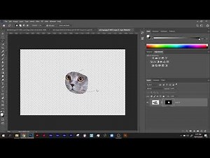 Photoshop Lasso Tool + Fill Adding to Masks