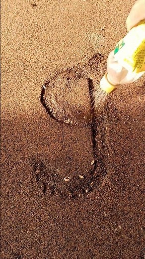 Making "g" Letter with Seeds 🌿| amazing Nature Seed Art 🌱 | new amazing Craft