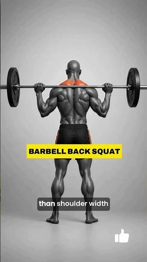 How to Do a Barbell Back Squat | Proper Form & Technique
