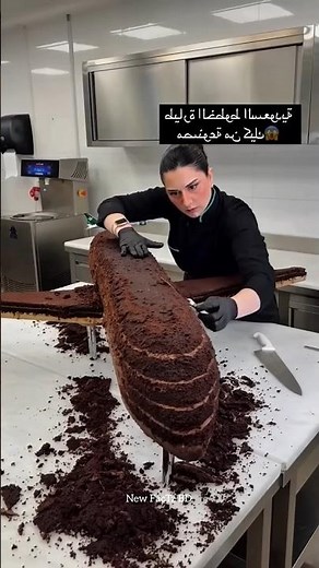 One-Day Challenge: She Built a Realistic Airplane Cake for a Dubai Airline ✈️🎂
