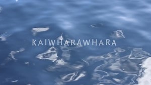 Kaiwharawhara Awa Documentary