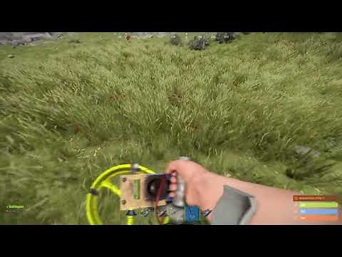 How to Use Metal Detector in Rust