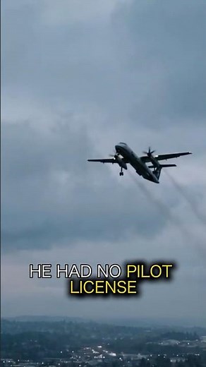 SKY KING STOLE A PLANE AND FLEW FOR 70 MINUTES