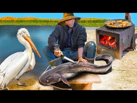 Fish, Cormorants and the Danube Delta