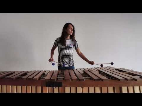 Por ti mi corazón - Manuel María Ponce (Arreglo para marimba, Christian López Soriano)