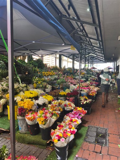 🟡 Flower Sellers in the City Centre, whose families have been selling blooms there for generations in Adderley Street, say they heavily oppose the City's proposal to develop an informal trading plan for the Trafalgar Flower Market. The City has called on residents to give comment on this proposal. At the same time, the flower sellers have launched a petition, to formally object to the introduction of a permit-based system. Smile FM spoke to one of the flower sellers, Karin Lipari. She says the 