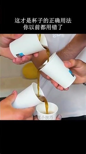 正确使用杯子的终极指南 - 现在就掌握它