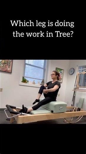 Pilates Tree Tip | Hips and Spine Exercise