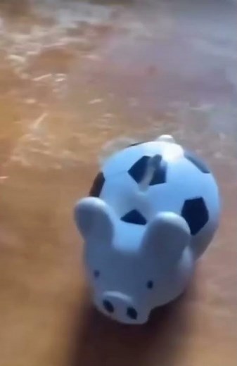 Oh shoot look it’s a penny meme