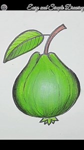 224K views · 3.1K reactions | Easy and simple drawing | Guava #drawing #drawingtutorial | Drawing Book | Facebook