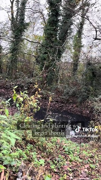 Its so beautiful here….. #trees #wales #farmlife #planting #biodiversity #nature #gwent #wildlifelover
