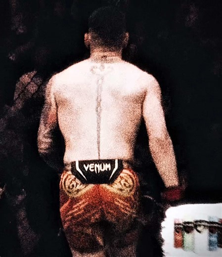 Iliatopuria's Rise in UFC MMA