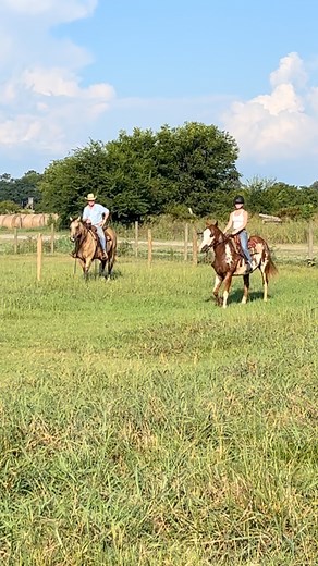 114 reactions | Awww…#farmlife | Rocking Chair Ranch Cattle | Facebook