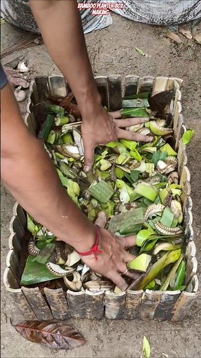 🌱 Bamboo Planter Box Making Process + Perfect Layering Secret 🔥 #shorts #bamboogarden #gardeningtips