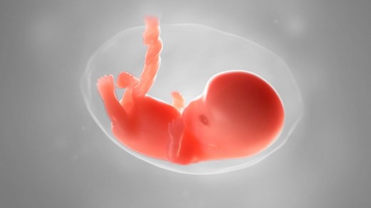 Purzelbäume und neue Gewohnheiten: Was dich in der 9. SSW wirklich erwartet