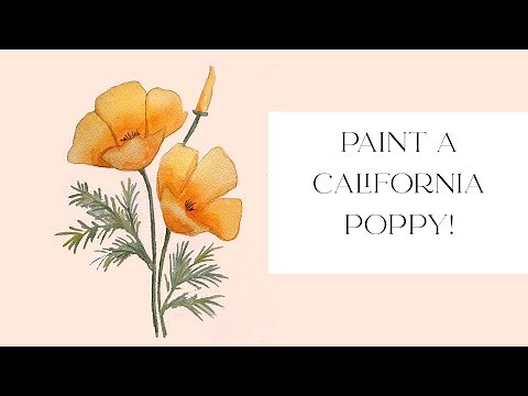 California Poppy Watercolor Tutorial