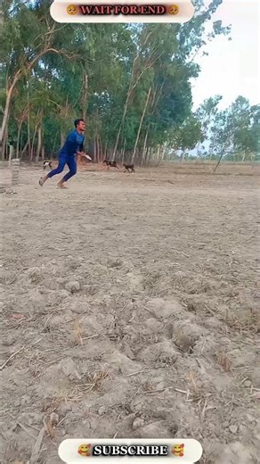 1 Ball 2 Runs ..... 🥰🔥😲 #cricket #trending #viral #bobby_4uhh #viralvideo #shorts #