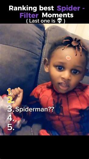 Ranking BEST spider filter moments .