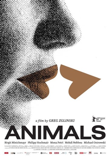 Videos - Animals  (2017)