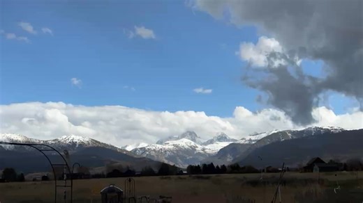 100K views · 296 reactions | Possible Tornado? Damage to trees in...