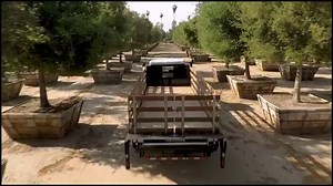 Morgan Corp. Bodies that Move Business