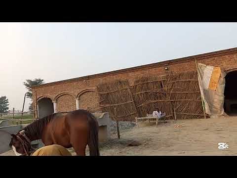 "Comprehensive Guide to the Brick Manufacturing Process"foryou