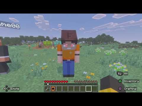 We faced the FRIEND EXE add-on in Minecraft