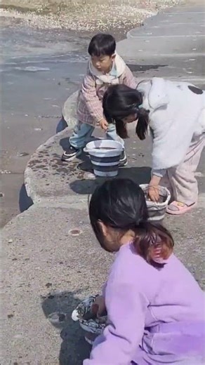 바다 조개 우린 조개 다시 살려줍니다