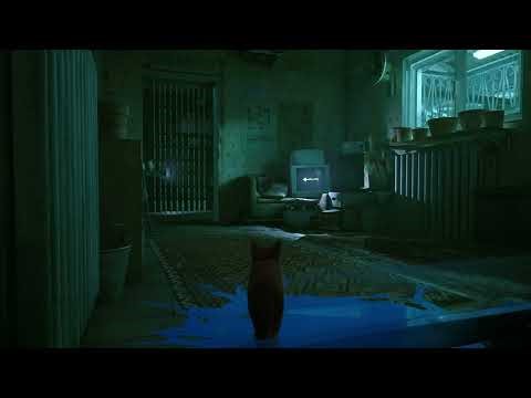 Gameplay Walkthrough Play