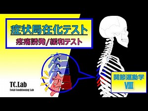 関節運動学 基礎編Ⅶ【症状局在化テスト：疼痛誘発/緩和テスト『Kaltenborn-Evjenth Concept』】