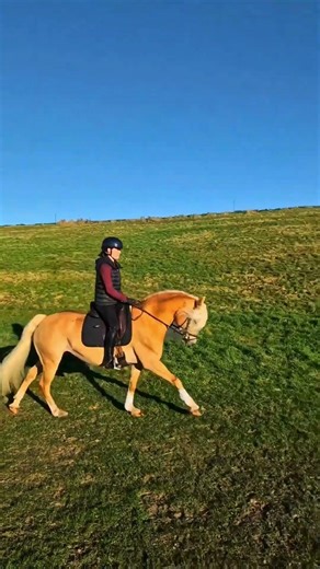 Golden beauty with a sporting heart