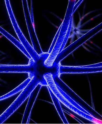 Nɸ丨XERO on TikTok