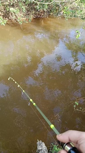 Strategi Memancing Ultralight untuk Ikan Merah Pipi