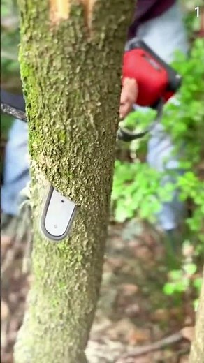 Super tajam alat ini dapat memotong pohon dengan sangat mudah #shorts