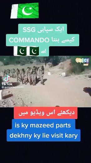 SSG COMMANDO on TikTok