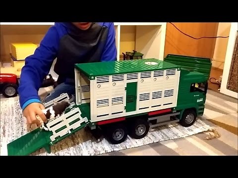 Bruder Toys: MAN Cattle Transportation Truck with Cow Figure (Bruder 02749)