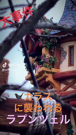 ラプンツェルの大事件！ディズニーシーでのカラス