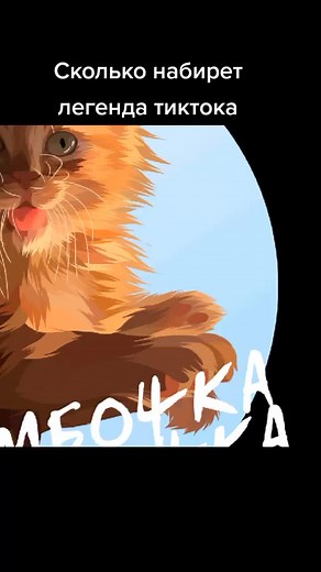 #фудшоу #симбочкапипочкаживи #светлаяпамятьсимбочки