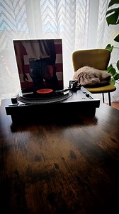 1.9K views · 42 reactions | Cover Me - Bruce Springsteen ( Born in the U.S.A. ) 1984 | The songs of my life | Facebook