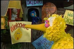 That time Big Bird visited Mister Rogers' Neighborhood. Talk about a couple of neighbors who could never be replaced. Happy Birthday week you two! (Video courtesy: Fred Rogers Productions.) | GBH