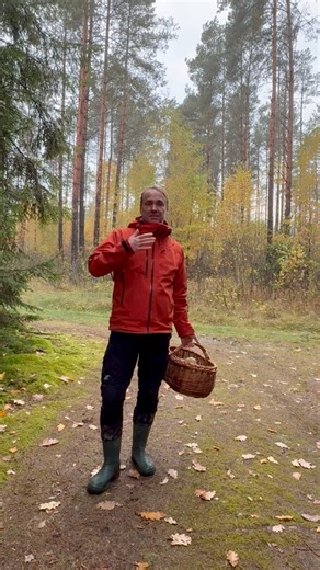 Jak deszcz, to koniecznie kalosze do lasu. Ja zaufałem marce Camminare Boots, która dba o moje stopy w takich warunkach. Przemierzyłem w nich setki kilometrów w tym sezonie i jestem z nich bardzo zadowolony. W ofercie są różne rodzaje, każdy znajdzie coś dla siebie🤞. Serdecznie polecam Adam Dobrowolski 😉🌲🍄 #camminareboots #camminarebootspl #kaloszecamminareboots #współpraca #grzyby #grzybobranie #borowik #deszcz | Adam Dobrowolski