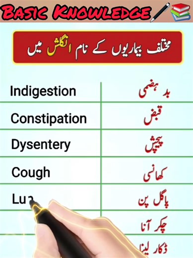 Basic Knowledge✍🏻📚 Basic Knowledge ✓ #CapCut #foryou #fyp #trending #unfreezemyacount basicknowledge__ English to Urdu paragraph & some sentence's English basic words #meanings #sentence #meanig today2025 #2025video #englishtourdusentences #urdutoenglish #urdumeanings #english #urdu #unf #foryou #foryou #foryou #foryoupage #1millionviews #foryoupage #foryoupage #1millionviews #trending #viralvideotiktok🥳🤯 #viralvideo #trendingvideo #foryoupage #fyppp #fyp #tiktokteamviralmyvideo #fyppppppppp