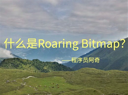 程序员面试题：什么是Roaring bitmap