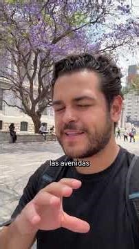 Jacarandas, how did they get to Mexico City?