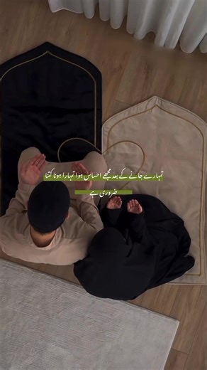 Exploring the World of Novels: A Reader's Paradise