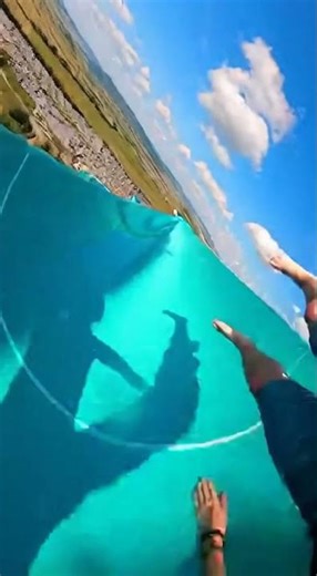 This Water Slide Was Fine… Until It Dropped Straight Down 😳💦